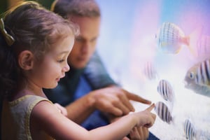 little-girl-looking-at-aquarium